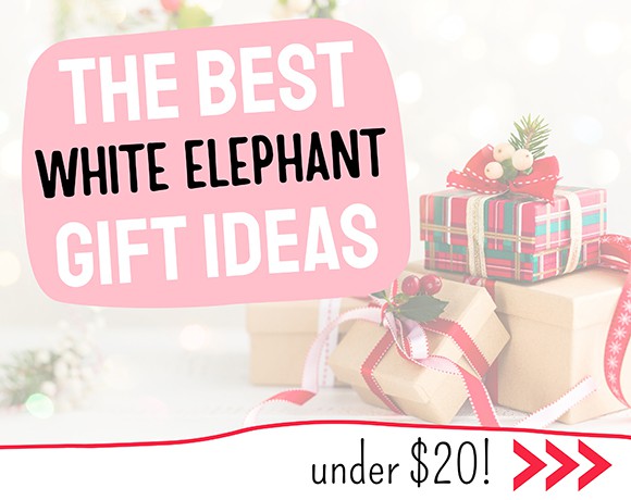 40 Best White Elephant Gift Ideas Under $20 – 2023