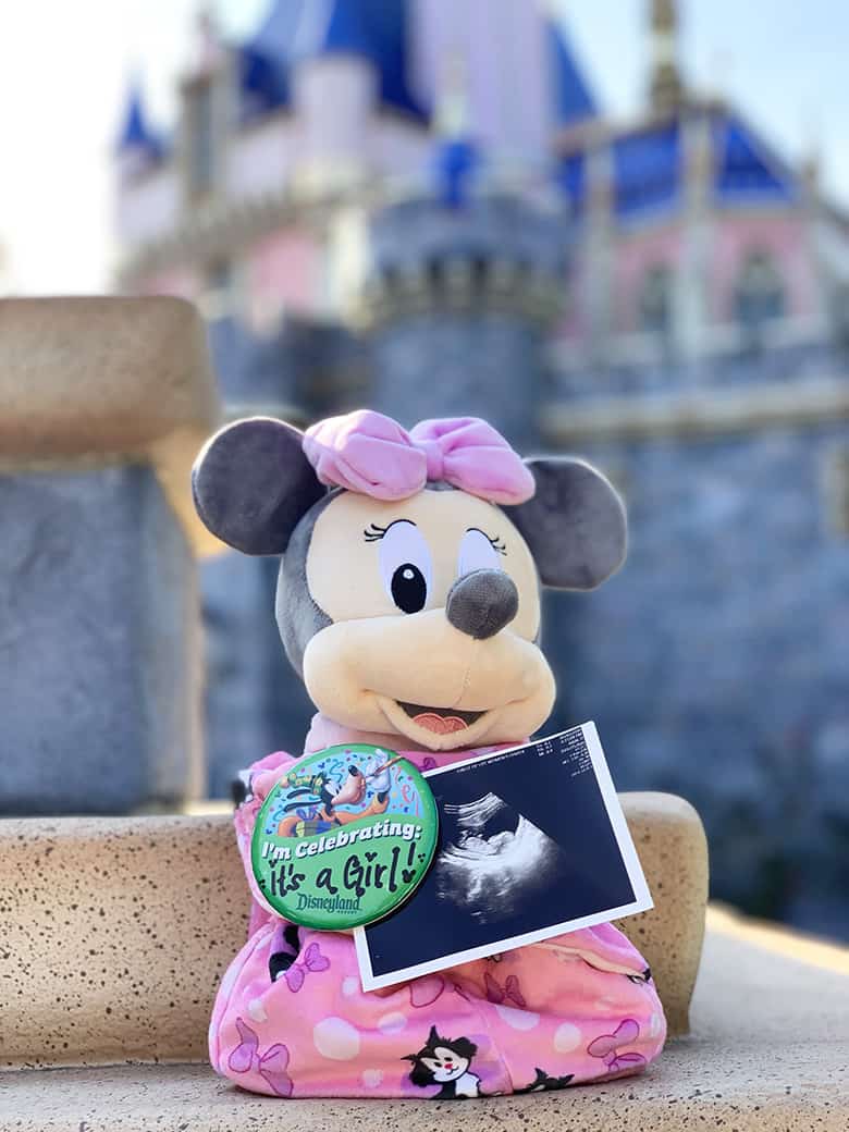 it's a girl gender announcement Disneyland