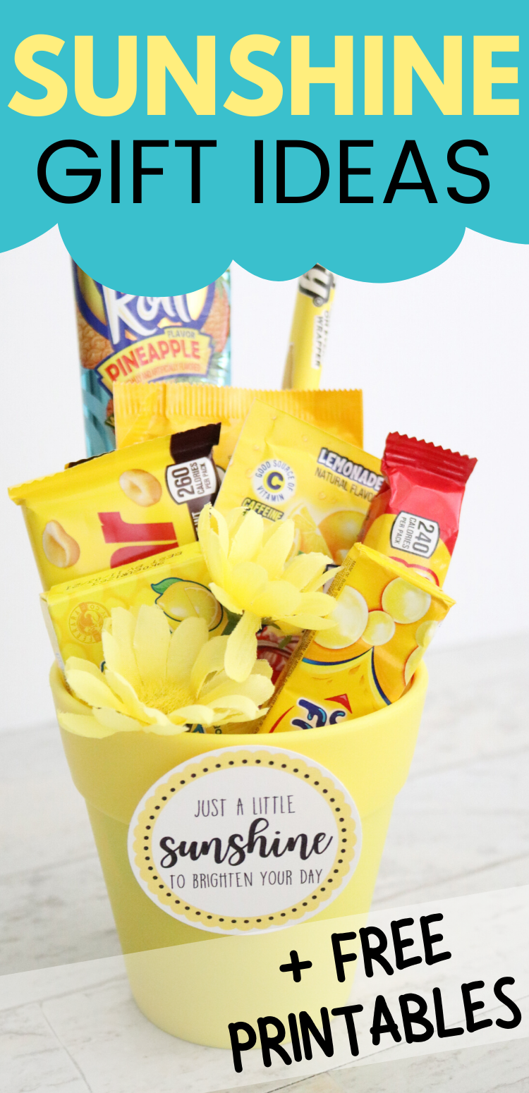 Gift Bag Labels Party Favor Labels Sunshine and Lemonade 