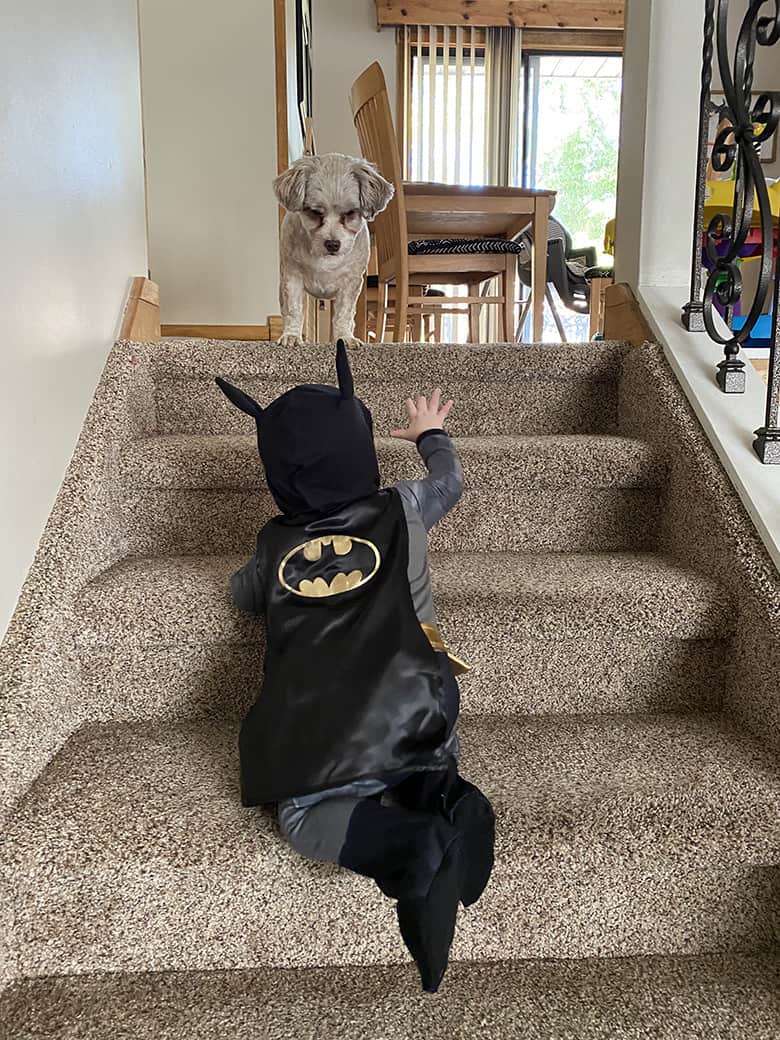 Batman Joker and Bane Family Halloween Costumes Aubree Originals