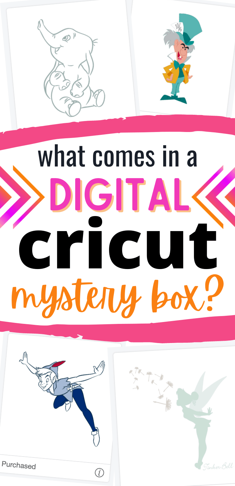 digital Cricut mystery boxes