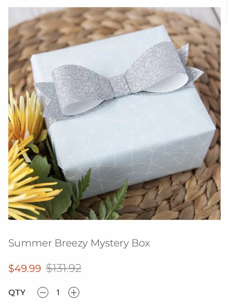 Summer Breezy Cricut Mystery Box June 2021