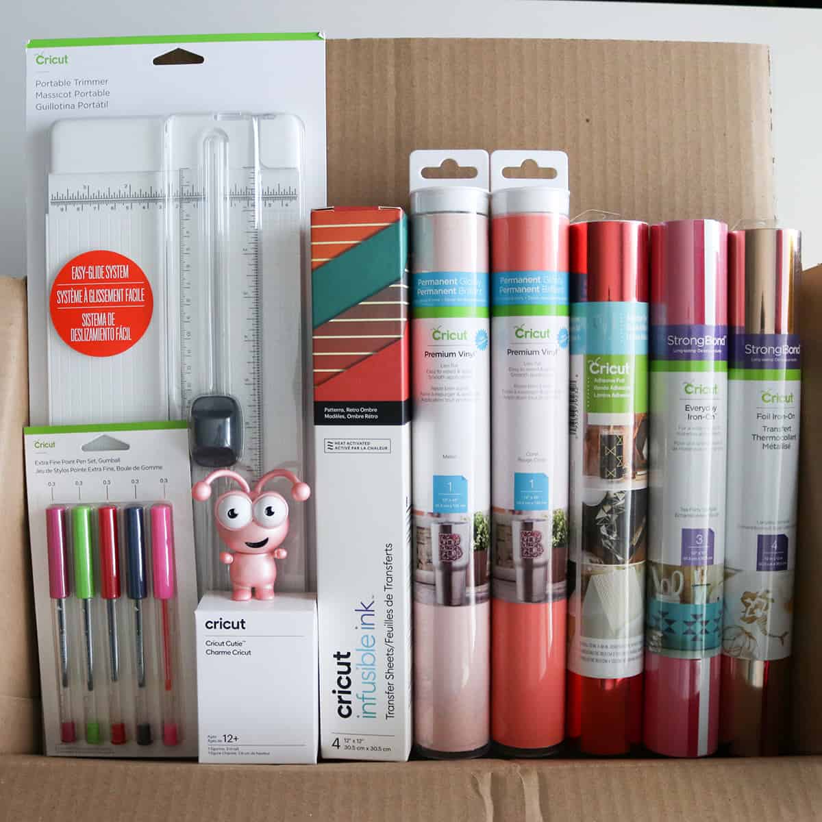 fall into flamingo Cricut mystery box 2021