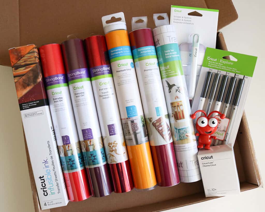 What Are Cricut Mystery Boxes and Are They Worth It? - Aubree Originals