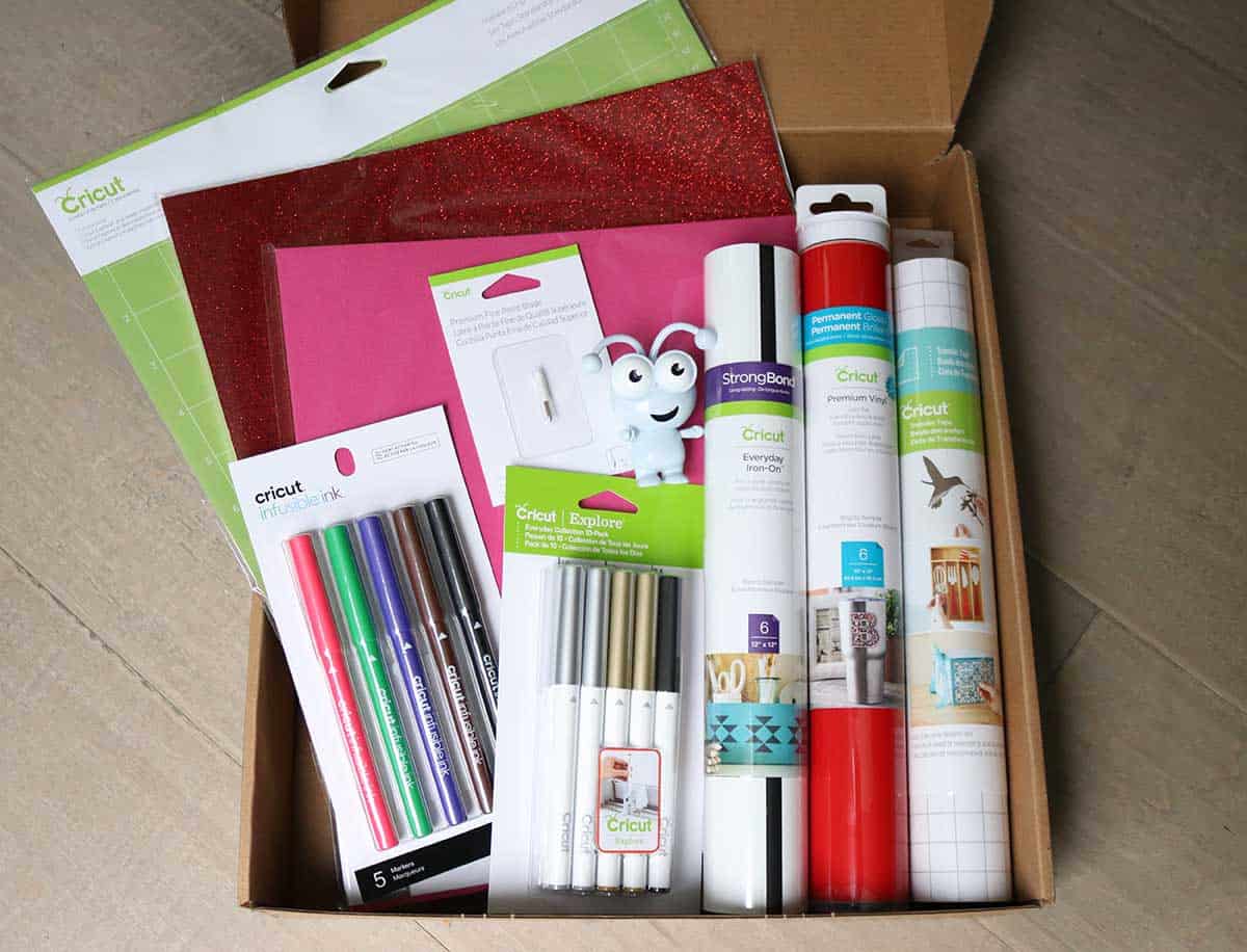 what came in the Bare Necessities Cricut mystery box