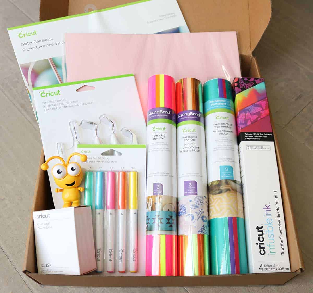 What came in the Brights Cricut Mystery Box February 2022