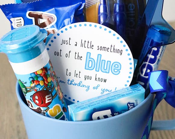 DIY Blue Gift Basket Ideas–and Free Printable Gift Tags!