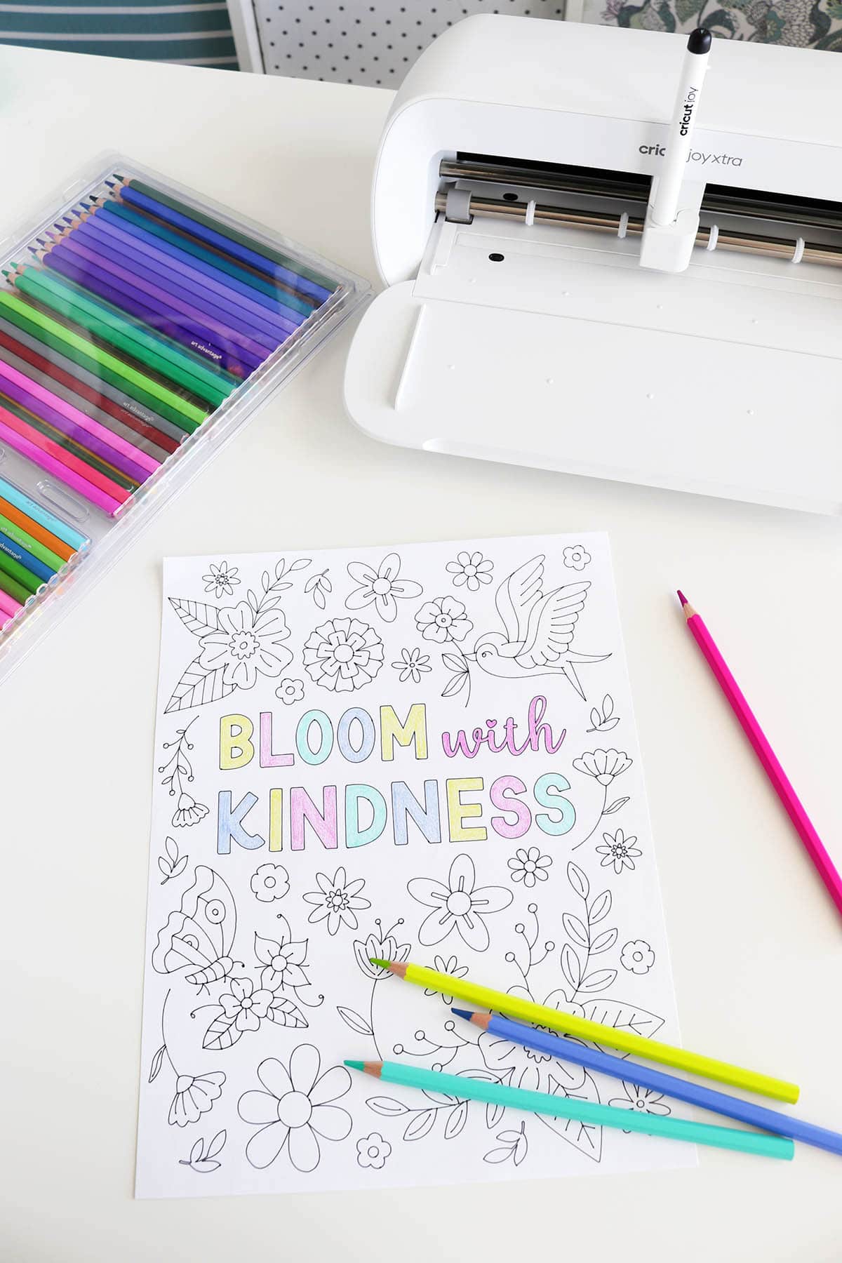 diy flower coloring page made with Cricut Joy Xtra and Cricut Joy pen