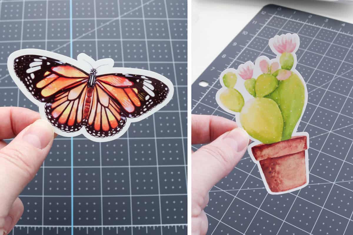 butterfly sticker and cactus sticker made with print then cut, demonstrating perfect cut with Cricut machine calibration