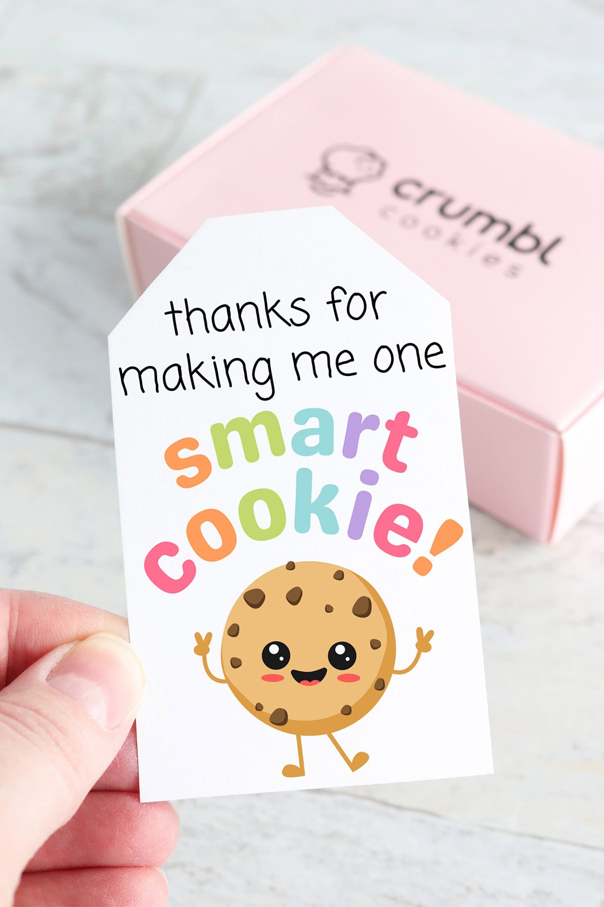 Free Printable Teacher Appreciation Gift Tags - Aubree Originals free-printable-teacher-appreciation-gift-tags-aubree-originals