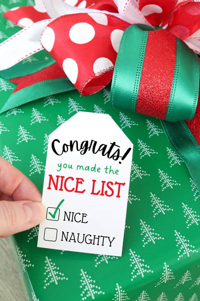 Free Printable "From Santa" Gift Tags for Christmas - Aubree Originals